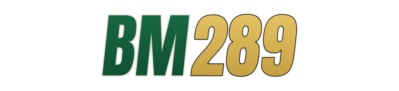 bm289